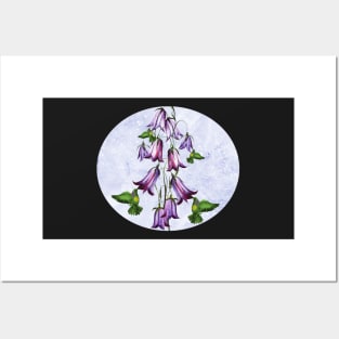 Purple belladonna hummingbird Posters and Art